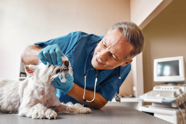 Best After-Hours Emergency Dentist in Kenton, OH